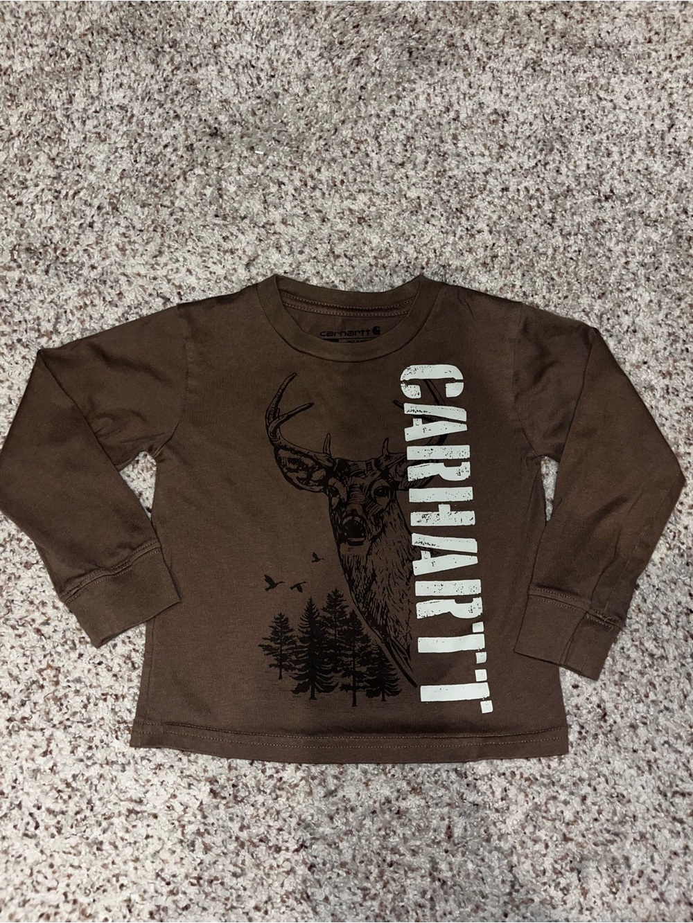 Carhartt Boys' Brown Graphic Long-Sleeve Tee 2t